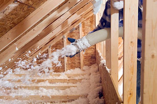 Best Insulation for New Construction  in Farngton, MI